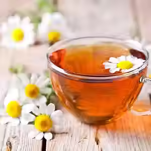 Camomil Hot Tea