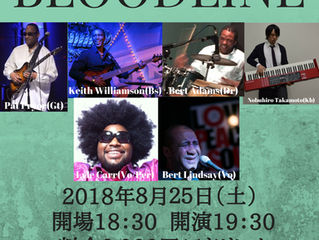 25日土曜日のライブ
