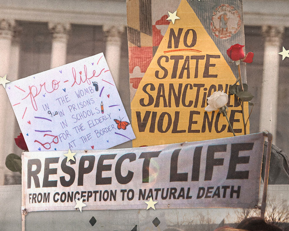Bringing Life, Peace, and Justice Together: Further Reflections on the Consistent Life Ethic