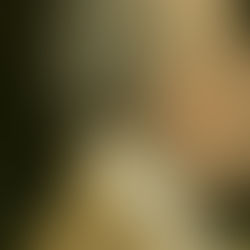 The “Heritage Americans” Concept: Who Does It Include–and Exclude?