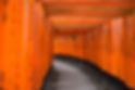 Traditional Japanese Gate