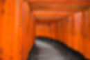 Traditional Japanese Gate