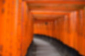Traditional Japanese Gate