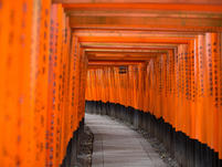 Traditional Japanese Gate