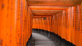 Percorso Torii giapponese