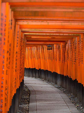Traditional Japanese Gate