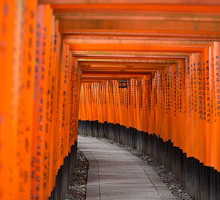 Porte traditionnelle japonaise