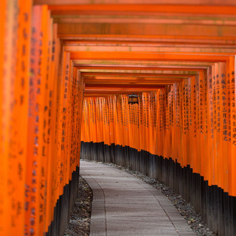 Our Tokyo Japan Adventures
