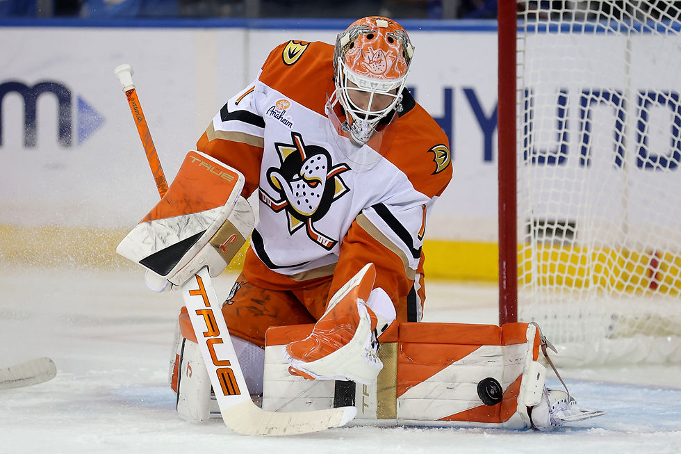 HOCKEY: After emotional win, Ducks get right back to work at Columbus