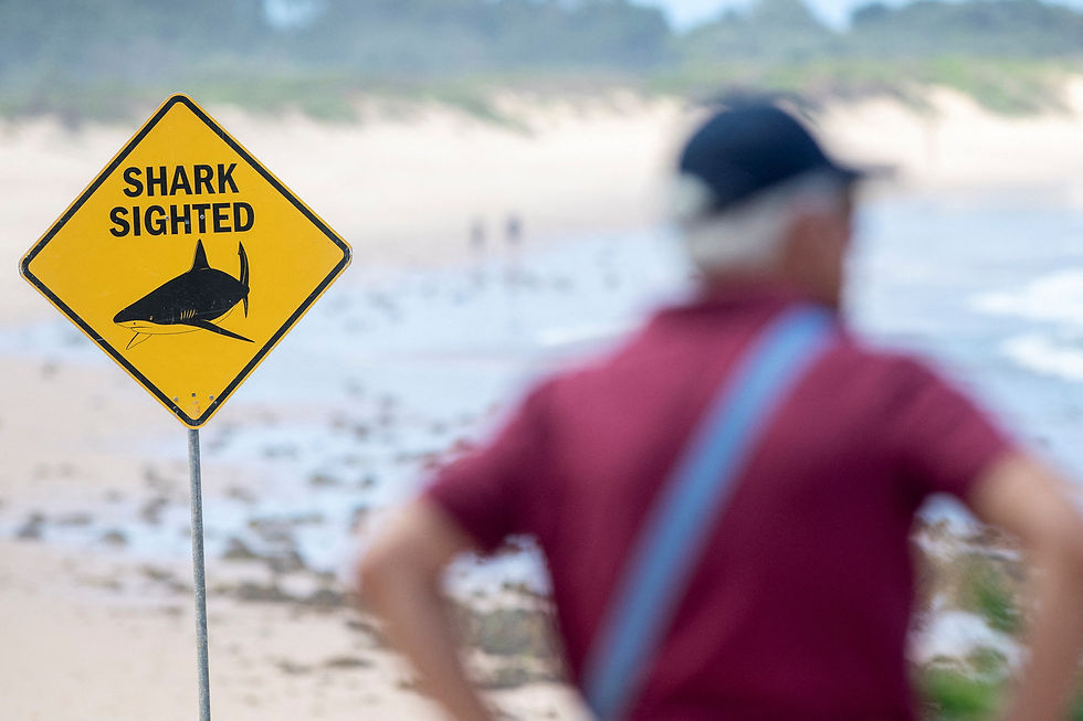 Sydney beaches stay closed after three shark attacks in two days