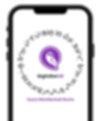 NightOwl AI UI on mobile.png