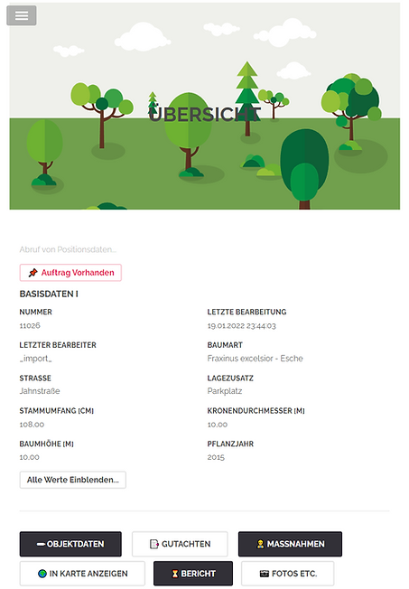 Übersicht Baum.png