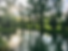Bowness Park