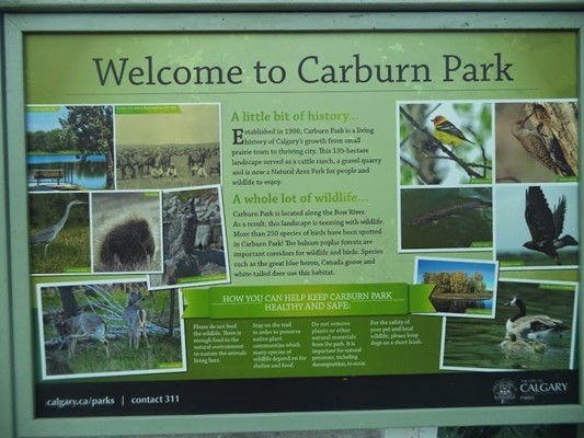 Carburn Park