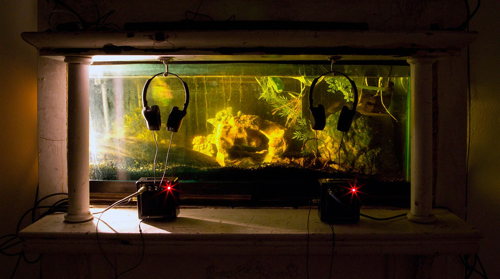 Aquarium Gallery _ 1