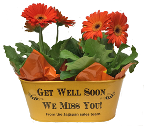 Get Well Planter