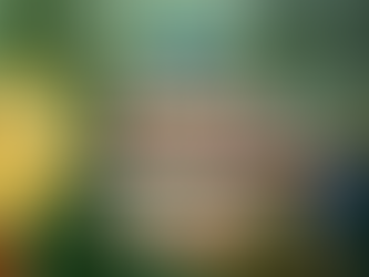 828 Bail Bonds Shines Bright at the 2025 Asheville Holiday Parade