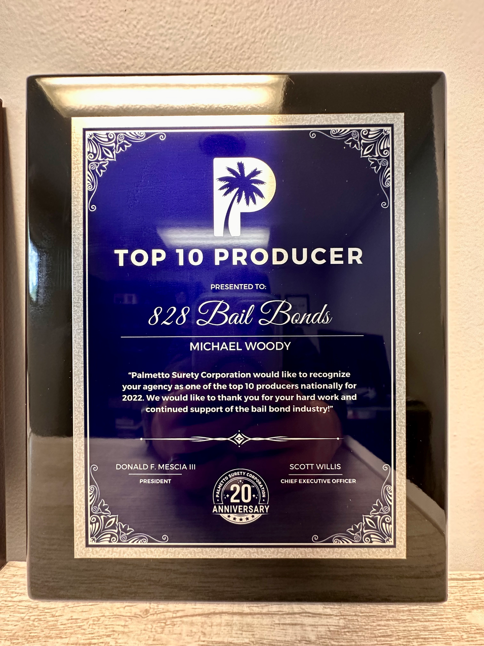 Top 1o Producer 828 Bail Bonds 2022