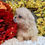 Thumbnail: EMMA CREAM WHITE PARTI FEMALE