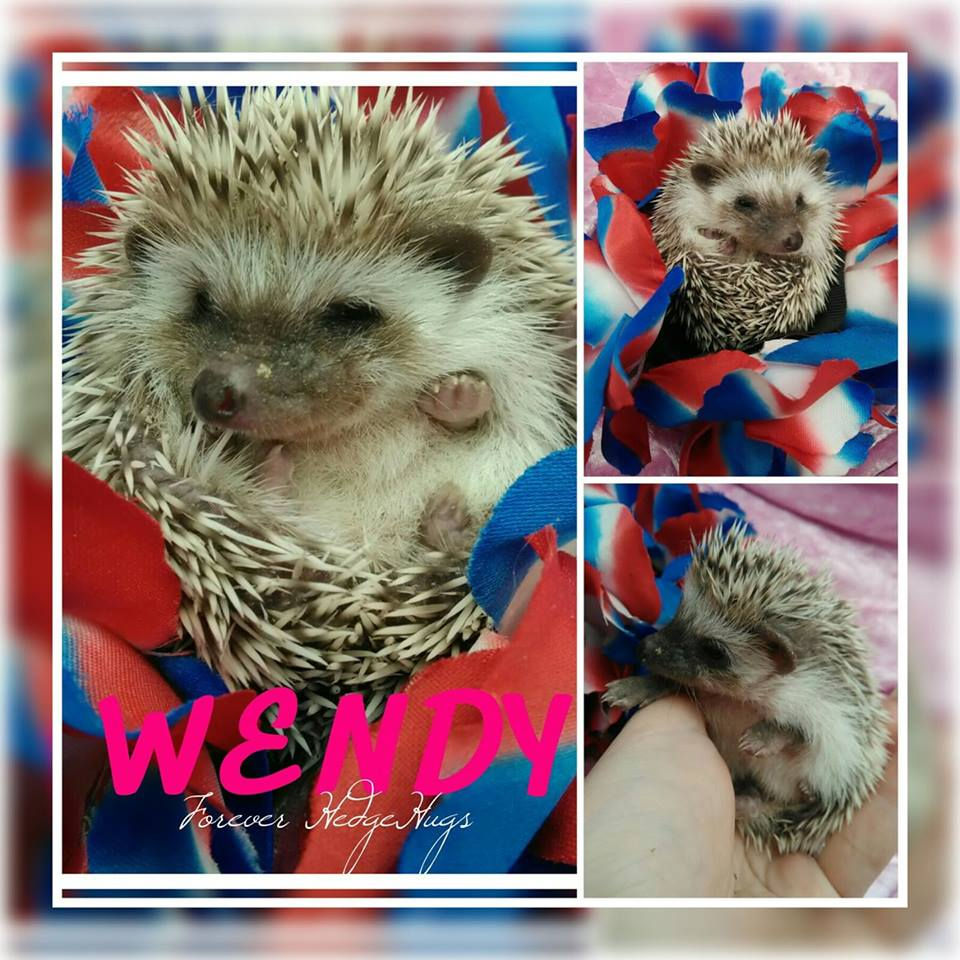 Thumbnail: WENDY FEMALE