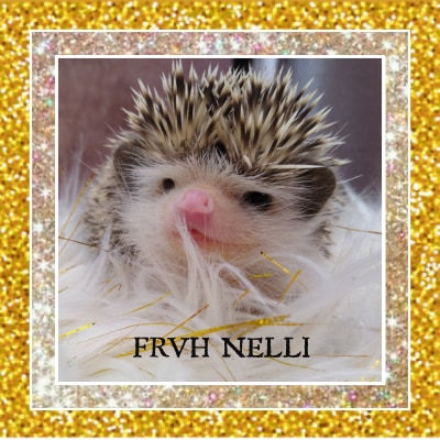 Thumbnail: FRVH NELLI