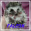 Thumbnail: FALCON