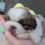 Thumbnail: $1300  YURI MALE AVAILABLE FOR DEPOSIT