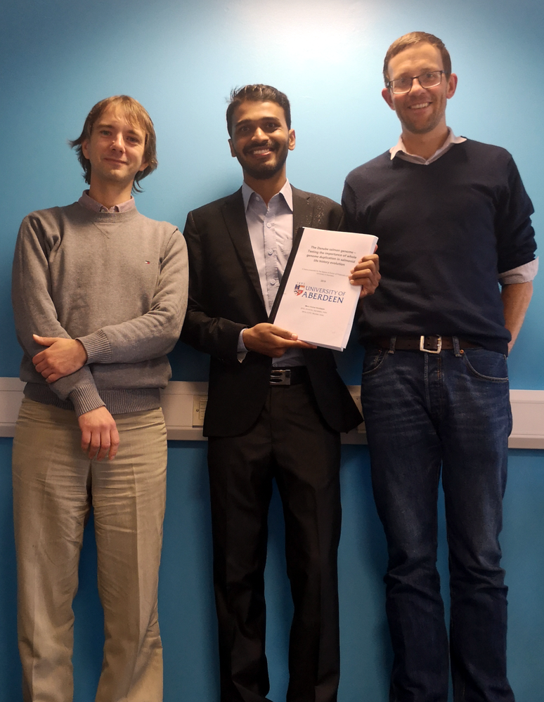 Phd dissertation image