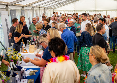 FIZZ FEST 2023 Crowd in Marquee BEST.jpg