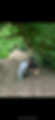 IMG_2565.PNG