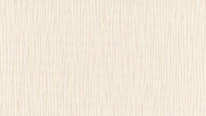Rolo tradicional de 0,53cm x 10m
