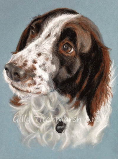 Gill Titchmarsh pet portraits