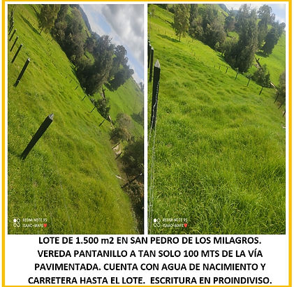 Arreboles Bienes Inmuebles San Pedro de los Milagros Directorio Antioquia PubliSanPedro