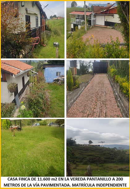 Arreboles Bienes Inmuebles San Pedro de los Milagros Directorio Antioquia PubliSanPedro