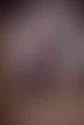 Christian Dior Pre-Fall 2024