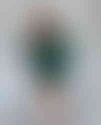 поєднання зеленого та золотого кольорів