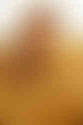 Українськи моделі