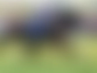 Week 6 - Clusters of Stallions and Great Grand Dam Sires