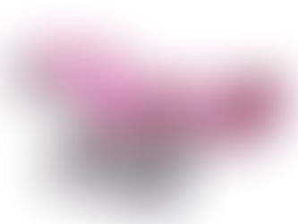 เตียงส่งไฟฟ้า HEDC02A