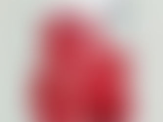 精选海盐 加碘 日晒盐(中国)