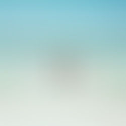 New Hampshire Ortho ∙ Graphic & UX | UI