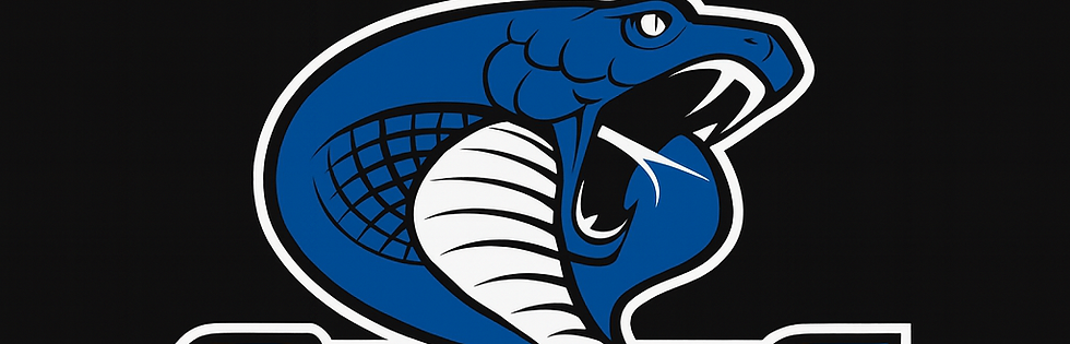 ChatGPT Image Oct 16, 2025, 09_34_11 PM.png