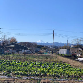 学べ、知れではなく「聴け」
