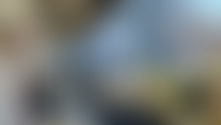 お釈迦さまのおさとし