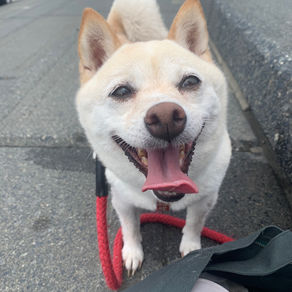 違う違う、そうじゃないよ