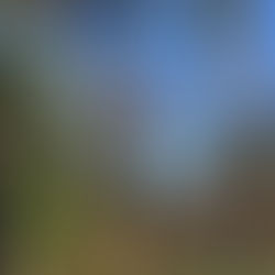 Important things are invisible