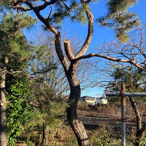 Important things are invisible