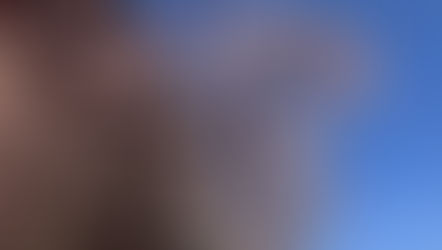 「忘却」は人の世の常とは言うけれども