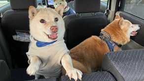 オーバーヒートだけど