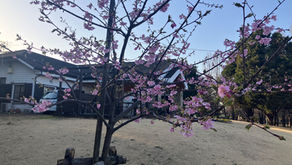 必ず、必ずのお喚び声